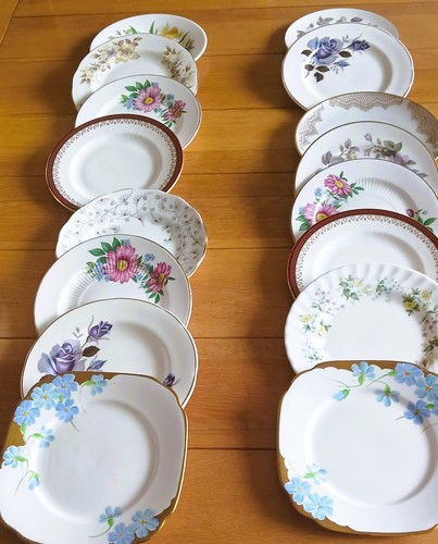 Mismatched vintage bone - 16,