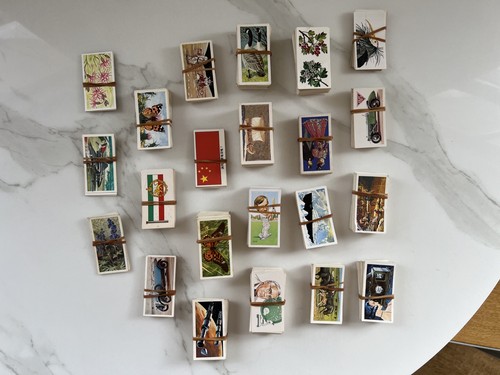 Job lot tea cards brooke - tea, cards,
